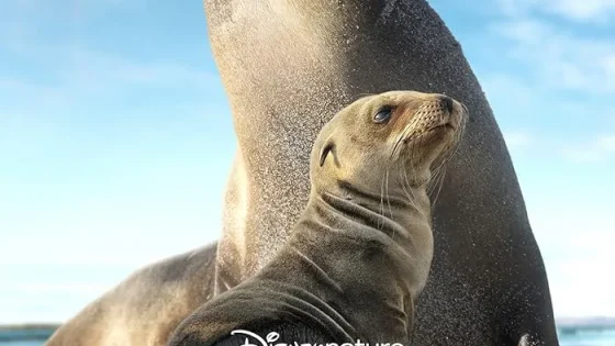 اتفرج علي فيلم Sea Lions of the Galapagos 2025 مترجم