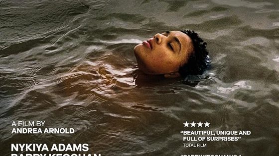 اتفرج علي فيلم Bird 2024 مترجم