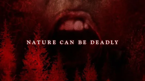 اتفرج علي فيلم The Woods 2024 مترجم