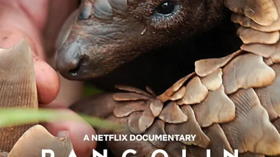 اتفرج علي فيلم Pangolin: Kulu’s Journey 2025 مترجم
