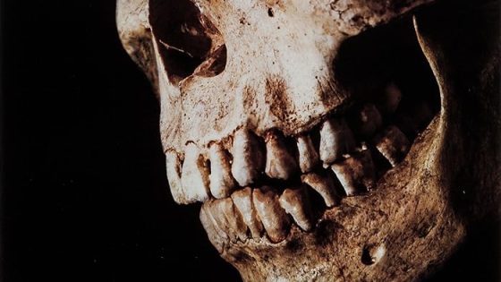 اتفرج علي فيلم Evil Dead II 1987 مترجم