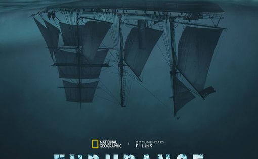 اتفرج علي فيلم Endurance 2024 مترجم
