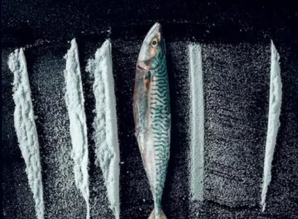 اتفرج علي فيلم Turn of the Tide: The Surreal Story of Rabo de Peixe 2025 مترجم