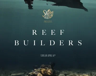 اتفرج علي فيلم Reef Builders 2025 مترجم