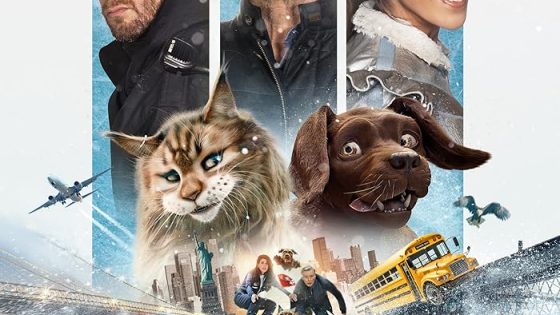 اتفرج علي فيلم Chien et chat 2024 مترجم