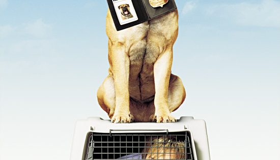 اتفرج علي فيلم See Spot Run 2001 مترجم