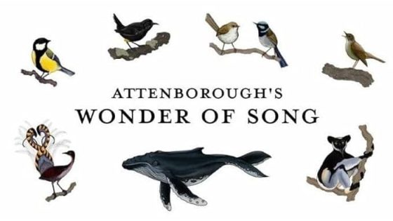 اتفرج علي فيلم Attenborough’s Wonder of Song 2022 مترجم