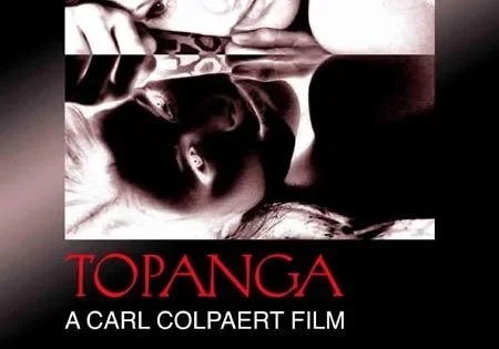 اتفرج علي فيلم The Affair 2004 مترجم