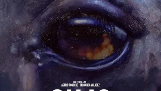 اتفرج علي فيلم Sujo 2024 مترجم